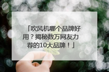 吹风机哪个品牌好用？揭秘数万网友力荐的10大品牌！