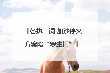 各执一词 加沙停火方案陷“罗生门”