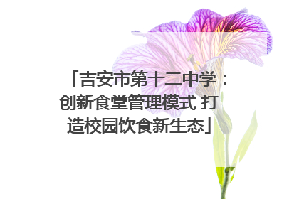吉安市第十二中学：创新食堂管理模式 打造校园饮食新生态