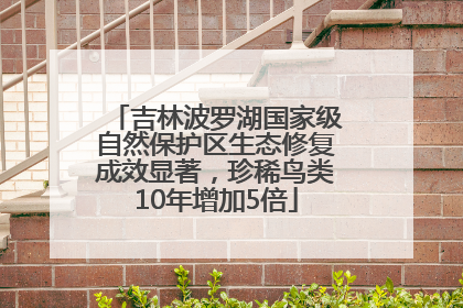 吉林波罗湖国家级自然保护区生态修复成效显著，珍稀鸟类10年增加5倍