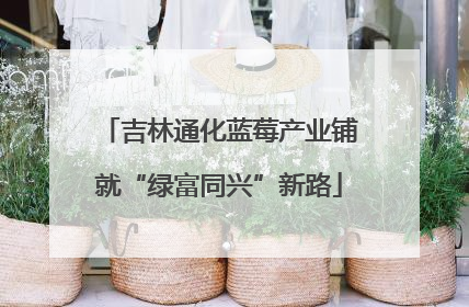 吉林通化蓝莓产业铺就“绿富同兴”新路