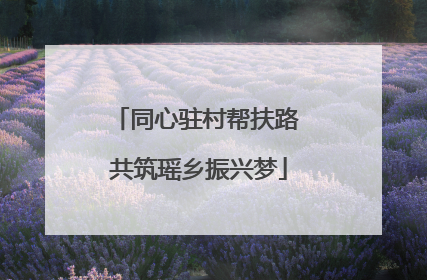 同心驻村帮扶路 共筑瑶乡振兴梦