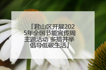 君山区开展2025年全国节能宣传周主题活动 多措并举倡导低碳生活