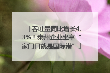 吞吐量同比增长4.3%！泰州企业坐享“家门口就是国际港”