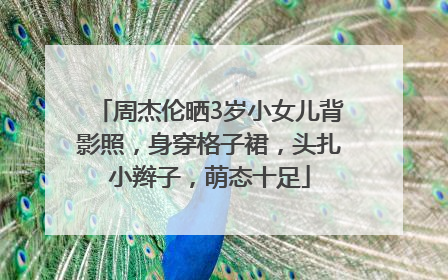 周杰伦晒3岁小女儿背影照，身穿格子裙，头扎小辫子，萌态十足