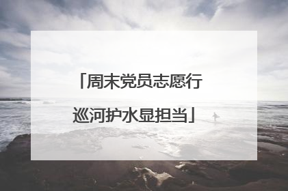 周末党员志愿行 巡河护水显担当