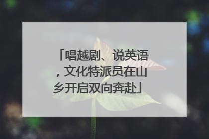唱越剧、说英语，文化特派员在山乡开启双向奔赴