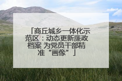 商丘城乡一体化示范区：动态更新廉政档案 为党员干部精准“画像”
