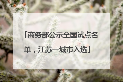 商务部公示全国试点名单，江苏一城市入选