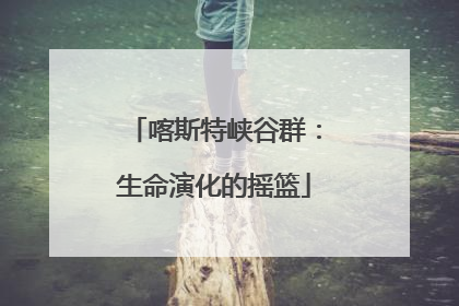 喀斯特峡谷群：生命演化的摇篮