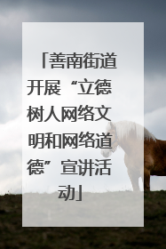 善南街道开展“立德树人网络文明和网络道德”宣讲活动