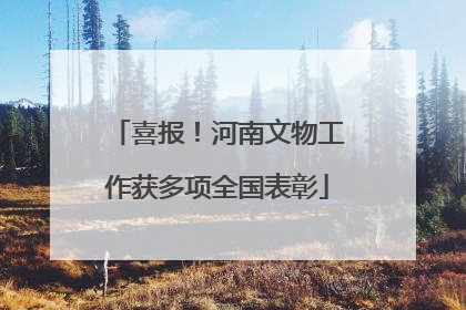 喜报！河南文物工作获多项全国表彰