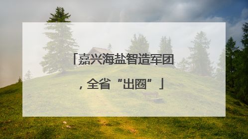 嘉兴海盐智造军团，全省“出圈”