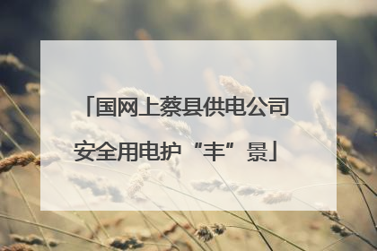 国网上蔡县供电公司安全用电护“丰”景
