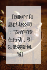 国网平和县供电公司：节能宣传在行动，引领低碳新风尚