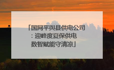 国网平舆县供电公司：迎峰度夏保供电  数智赋能守清凉