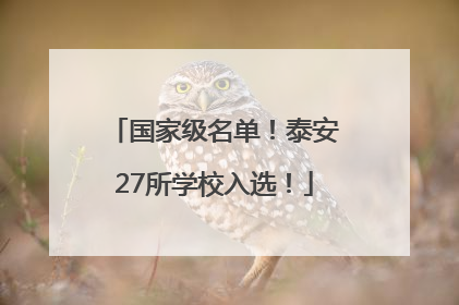 国家级名单！泰安27所学校入选！