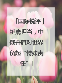国际锐评丨挺膺担当，中俄并肩对世界负起“特殊责任”