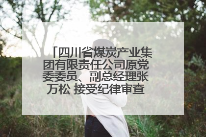 四川省煤炭产业集团有限责任公司原党委委员、副总经理张万松 接受纪律审查和监察调查