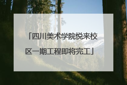 四川美术学院悦来校区一期工程即将完工