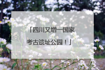 四川又增一国家考古遗址公园！