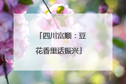 四川富顺：豆花香里话振兴