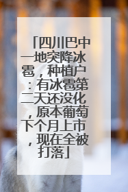 四川巴中一地突降冰雹，种植户：有冰雹第二天还没化，原本葡萄下个月上市，现在全被打落