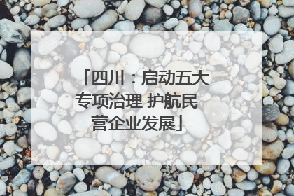 四川：启动五大专项治理 护航民营企业发展