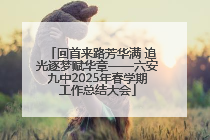 回首来路芳华满 追光逐梦赋华章——六安九中2025年春学期工作总结大会