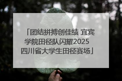 团结拼搏创佳绩 宜宾学院田径队闪耀2025四川省大学生田径赛场