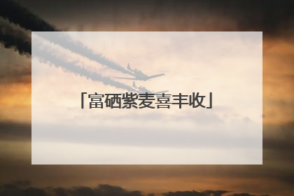 富硒紫麦喜丰收