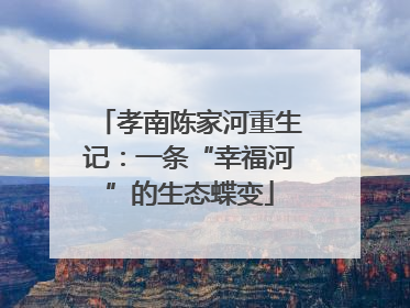孝南陈家河重生记：一条“幸福河”的生态蝶变