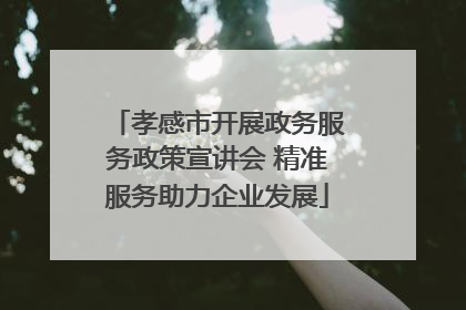 孝感市开展政务服务政策宣讲会 精准服务助力企业发展