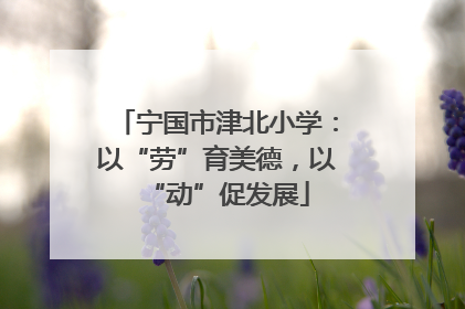 宁国市津北小学：以“劳”育美德，以“动”促发展