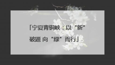 宁夏青铜峡：以“新”破题 向“绿”而行