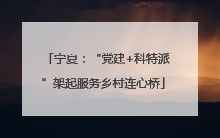 宁夏：“党建+科特派”架起服务乡村连心桥