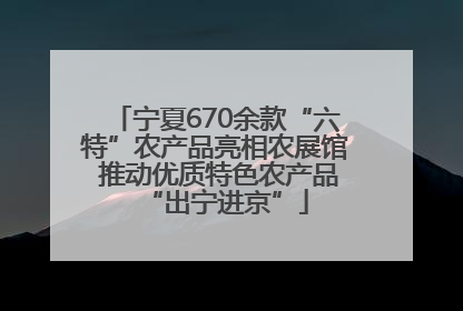 宁夏670余款“六特”农产品亮相农展馆 推动优质特色农产品“出宁进京”