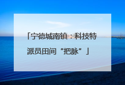 宁德城南镇：科技特派员田间“把脉”
