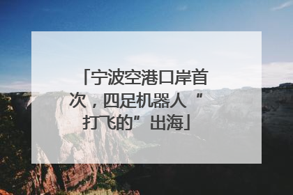 宁波空港口岸首次，四足机器人“打飞的”出海