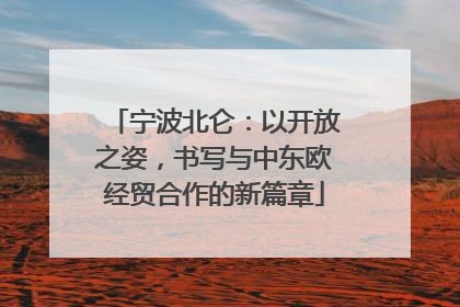 宁波北仑：以开放之姿，书写与中东欧经贸合作的新篇章