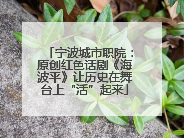 宁波城市职院：原创红色话剧《海波平》让历史在舞台上“活”起来