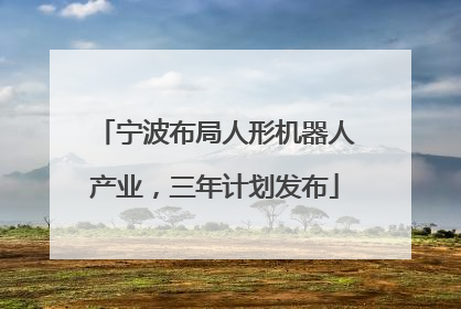 宁波布局人形机器人产业，三年计划发布