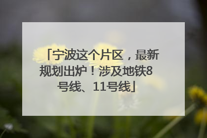 宁波这个片区，最新规划出炉！涉及地铁8号线、11号线