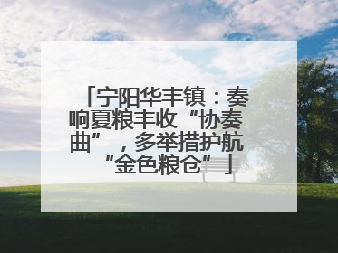 宁阳华丰镇：奏响夏粮丰收“协奏曲”，多举措护航“金色粮仓”