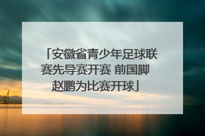 安徽省青少年足球联赛先导赛开赛 前国脚赵鹏为比赛开球