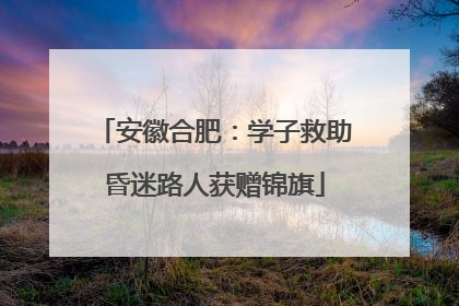 安徽合肥：学子救助昏迷路人获赠锦旗