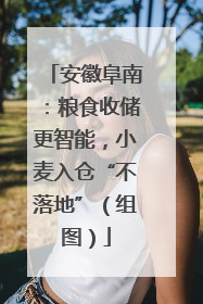 安徽阜南：粮食收储更智能，小麦入仓“不落地”（组图）