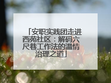 安职实践团走进西苑社区：解码六尺巷工作法的温情治理之道