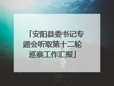 安阳县委书记专题会听取第十二轮巡察工作汇报