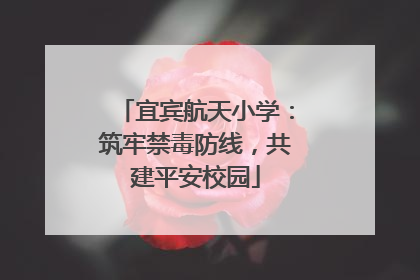 宜宾航天小学：筑牢禁毒防线，共建平安校园